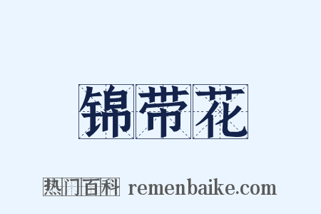 锦带花是什么意思的图片
